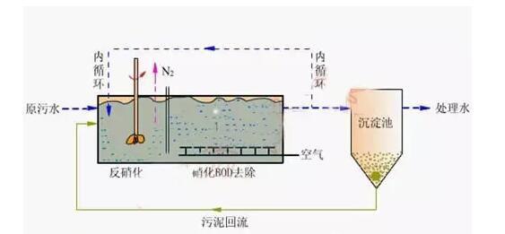 高濃度，高氨氮