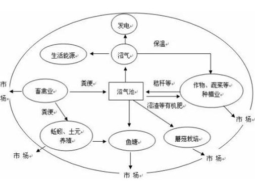 養(yǎng)殖污水處理方法都有哪些_金版環(huán)保